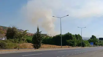 Bingöl'deki otluk yangın itfaiyenin hızlı müdahalesiyle kontrol altına alındı