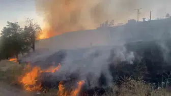 Elazığ Aşağı Demirtaş köyünde mangal ateşi otluk alanı küle çevirdi