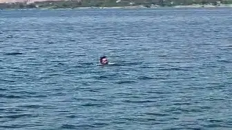 Karakaya Baraj Gölü'nü yüzerek geçti
