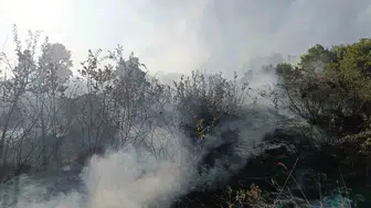 Bingöl ve Solhan kırsalındaki yangınlar ekiplerin müdahalesiyle tamamen söndürüldü