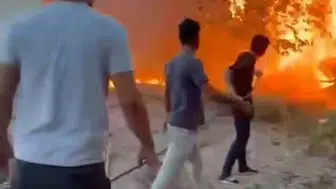 Birecik ilçesindeki ağaçlık alanda çıkan yangın mahalle sakinlerini tedirgin etti
