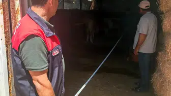 Ağın ilçesindeki hayvan çiftlikleri mercek altına alındı