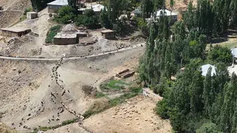 Yüksekova Gedikli mezrasında susuz kalan besiciler çözüm bekliyor