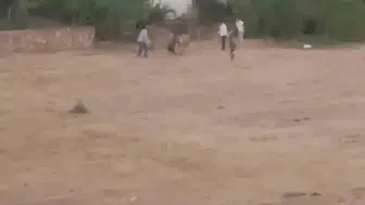 İpinden kurtulan inek sahibine boynuzuyla saldırdı