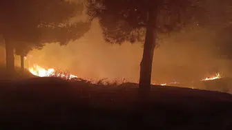 Siirt Kurtalan’daki mezarlıkta gece saatlerinde yangın paniği yaşandı