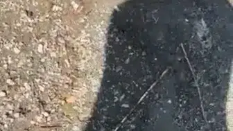Elazığ Hazar Gölü kıyısında yılanlı şaka kameraya yansıdı