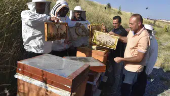 Bitlis Eren Üniversitesi bal üretiminde kapasitesini ve kalitesini artırıyor