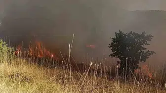 Muş Arıköy kırsalındaki orman yangını ekiplerin müdahalesiyle söndürüldü