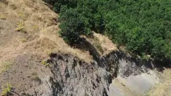 Bingöl Ilıcalar bölgesinde nadir rastlanan dağ keçisi dronla kaydedildi