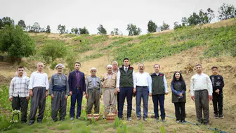 Şemdinli bağlarında bereketli üzüm hasadı dönemi başladı