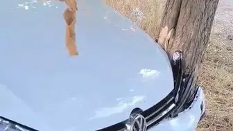 Elazığ Bingöl yolunda otomobil ağaca çarptı iki kişi yaralandı