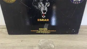 Bingöl Emniyetinden geniş çaplı operasyon 43 kişi yakalandı