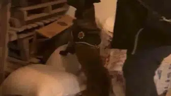Bingöl'de uyuşturucu operasyonu sonucu bir kişi cezaevine gönderildi