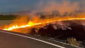 Kovancılar'da çıkan arazi yangını ekiplerin müdahalesiyle büyümeden söndürüldü