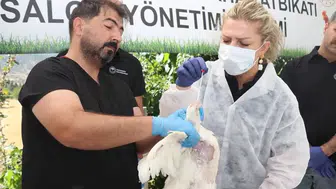 Elazığ'da kuş gribi salgınına karşı kapsamlı saha tatbikatı yapıldı