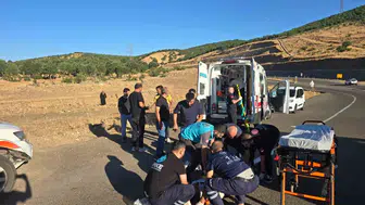 Bingöl'de kontrolden çıkan kamyonet şarampole devrildi