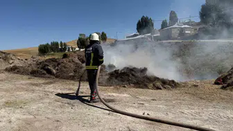 Çaldıran'da ot yangını korkuttu
