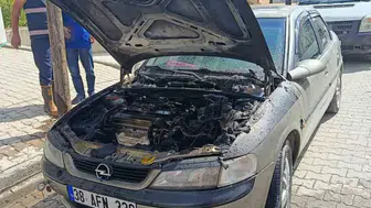 Tatvan'da park halindeki otomobil aniden alevlere teslim oldu
