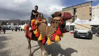 Yüksekova halkı Hatay'dan gelen develer ve midilli atlarıyla buluştu