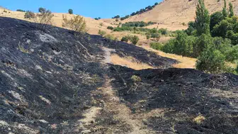 Ergani ilçesinde çıkan anız yangını yüz dönümlük araziyi küle çevirdi