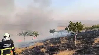 Batman'da tarım arazisinde çıkan yangın ekipleri harekete geçirdi
