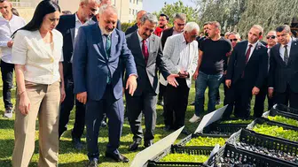 Şırnaklı üreticilere kışlık fide ve çoban çantası desteği verildi