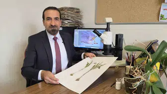 Muş'un Kurtik Dağı'nda dünyada eşi benzeri olmayan yeni bir bitki keşfedildi