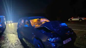 Bingöl’de otomobilin ata çarpması sonucu bir kişi yaralandı