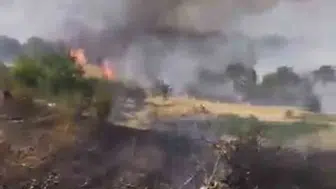 Çüngüş ilçesinde çıkan yangın üzüm bağlarını küle çevirdi
