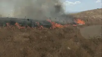 Bingöl Havalimanı Kavşağında çıkan anız yangını ekiplerce söndürüldü