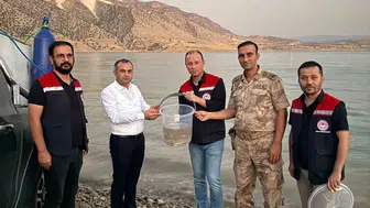 Mardin Ilısu Barajı'nda balık popülasyonunu artırmak için dev adım atıldı