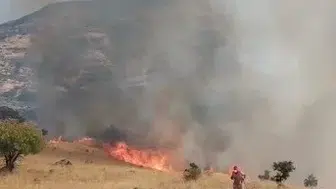 Nazımiye ormanlarında yangın paniği havadan ve karadan müdahale ediliyor