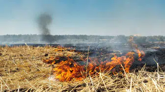 Fırat EDAŞ çiftçileri anız yangınlarına karşı dikkatli olmaya çağırdı