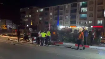 Elazığ Kovancılar'da köpeğe çarpan otomobil direğe girdi