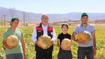Elazığ tarlalarında kabak bereketi yaşanıyor