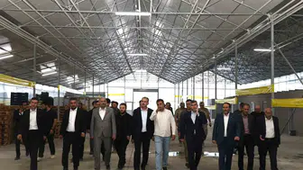 Ağrı Valisi Bozkurt Diyadin Jeotermal Sera Bölgesinde İncelemeler Yaptı