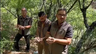 Tunceli'de endemik dağ sarımsağını izinsiz toplayanlara 2 milyon lira ceza