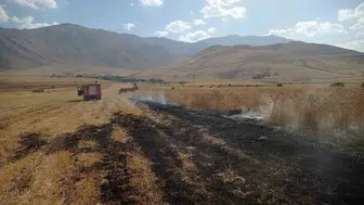 Gevaş ilçesinde çıkan örtü yangını ekiplerin müdahalesiyle kontrol altına alındı