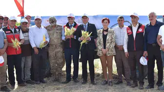 Tuşba'da Silajlık Mısır Hasadı Tarla Günü Düzenlendi