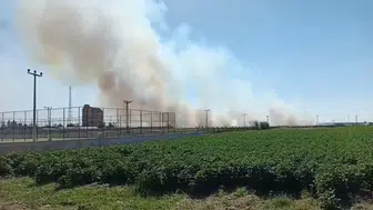 Akçakale sınır hattındaki mayınlı bölgede çıkan yangın paniğe neden oldu