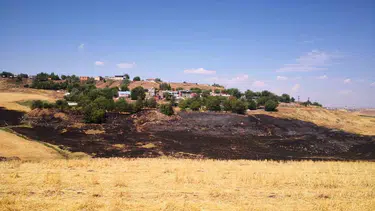 Biçerdöver sahipleri dikkat Tarladaki yeşil otlar yangın riski taşıyor