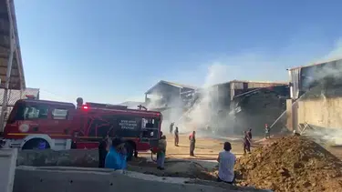 Şanlıurfa'da bir besi çiftliğinin saman deposu alevlere teslim oldu
