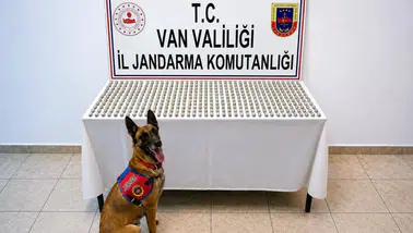 Van sınırında mide bulandıran uyuşturucu operasyonu