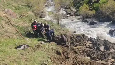 Hakkari Otluca köyünde bataklığa saplanan ineği ekipler kurtardı