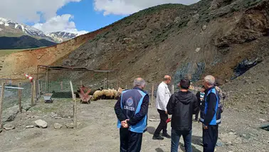 Hakkari’de kurbanlık pazarı kuruldu
