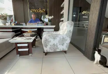 Batman'da bir matbaa kapılarını sokak kedilerine açarak yuva oldu