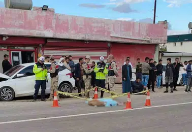 Akçakale yolunda feci kaza 9 yaşındaki çocuk hayatını kaybetti