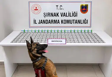 Şırnak jandarmasından geniş çaplı operasyon: 12 kişi cezaevine gönderildi