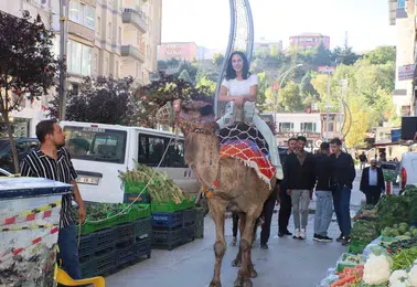 Hakkari çarşısında deve ve midilli sürprizi