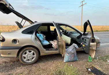 Şanlıurfa'da TİGEM bahçesinden fıstık çalan 4 kişi suçüstü yakalandı
